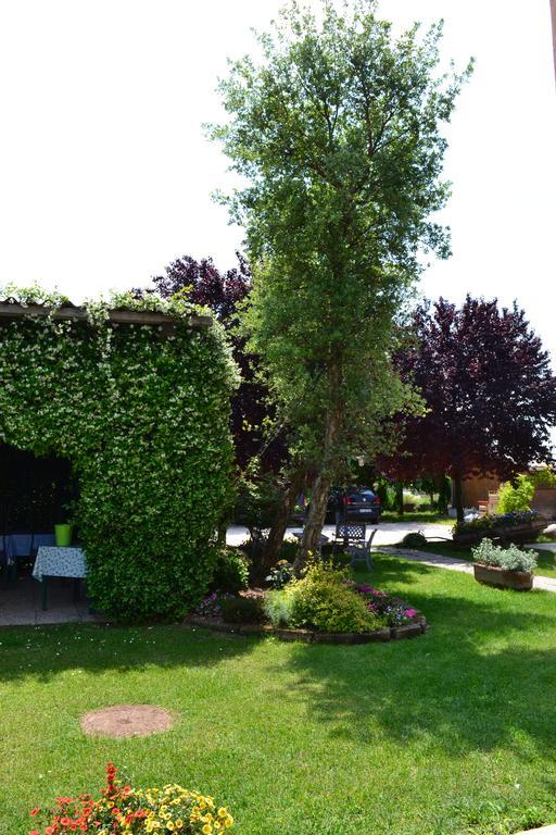 Agriturismo Casa Maria Teresa Villa Sommacampagna Dış mekan fotoğraf